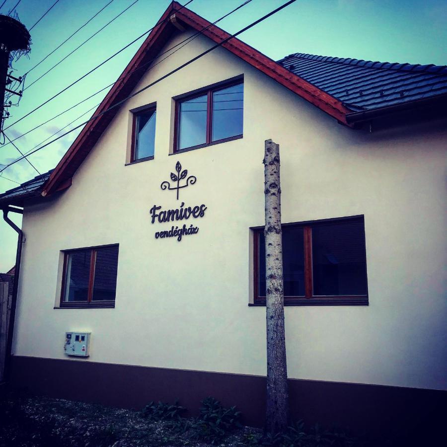 Famíves vendégház Racul Extérieur photo